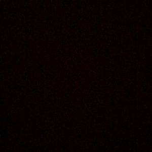 Meet your Posher, Chasity